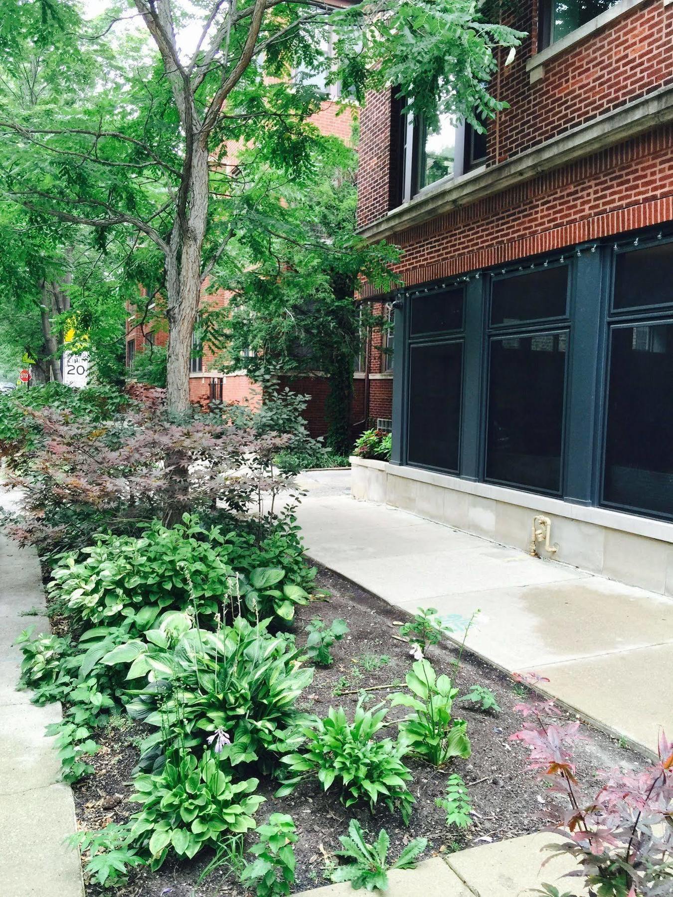 House 5863- Chicago'S Premier Bed And Breakfast Екстериор снимка